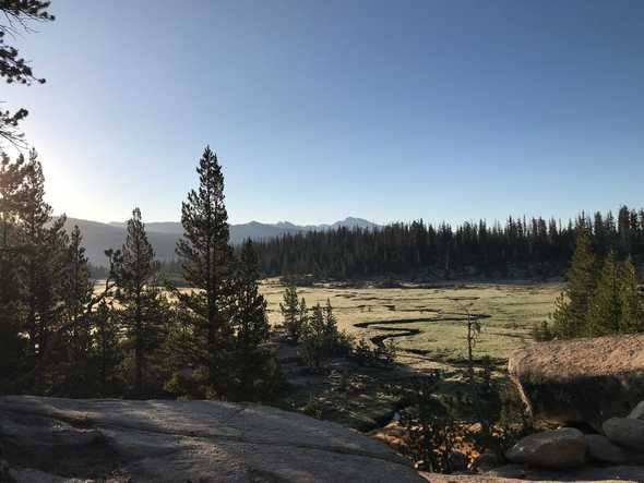 Sunrrrrise