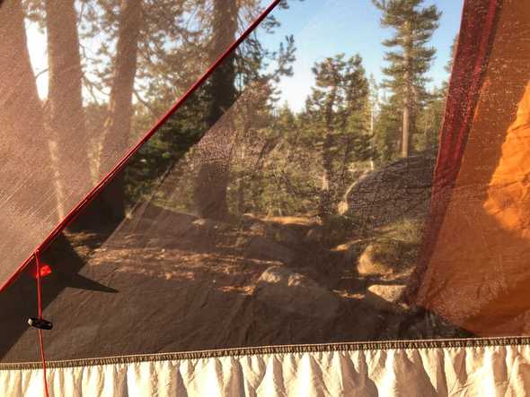 Morning View
