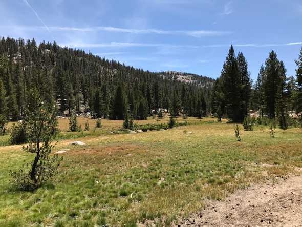 Meadows